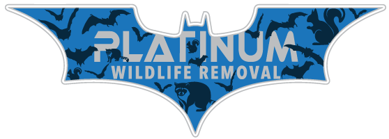 Oregon Wildlife Removal